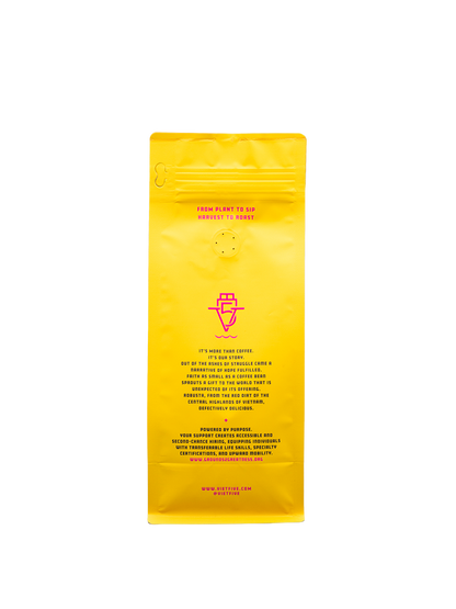 RISE-Light Medium Roast